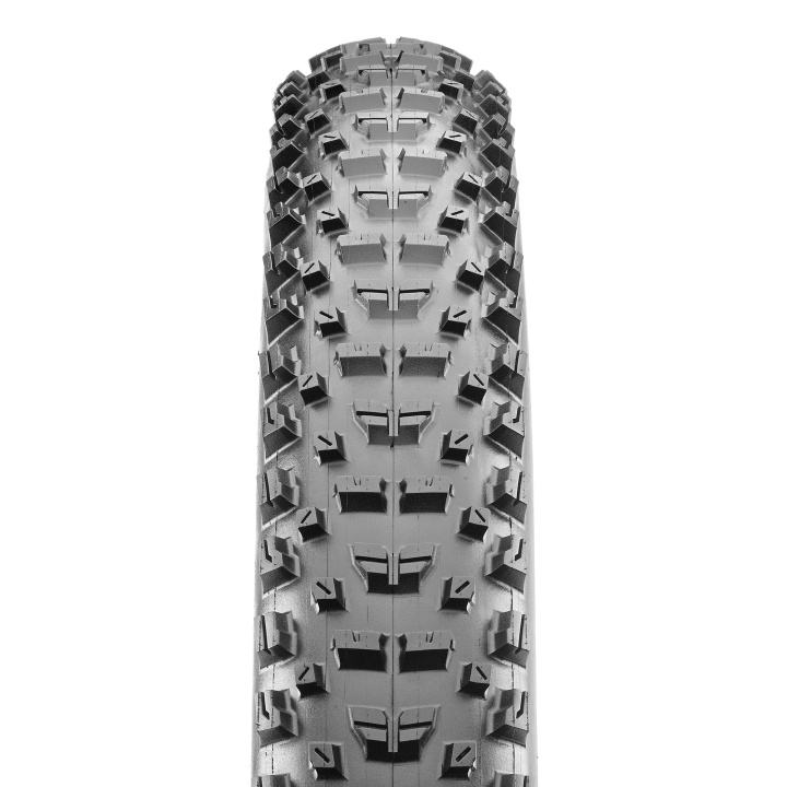copia de copia de Llantas Minion DHR II - Maxxis 29