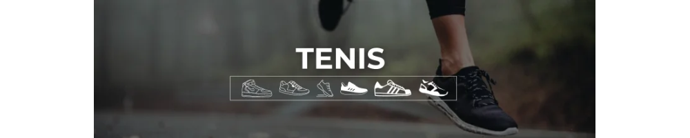Tenis